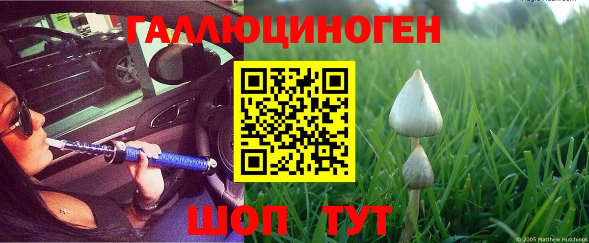 где купить   Псилоцибиновые грибы ЛСД  Вятские Поляны  Вход с VPN  Псилоцибиновые грибы ЛСД 